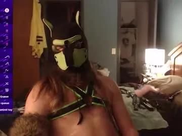 kinkywolf87 on Chaturbate 